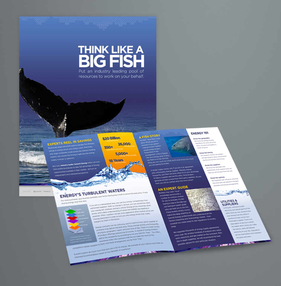 Big Fish Brochure